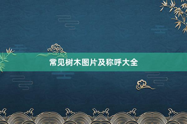 常见树木图片及称呼大全