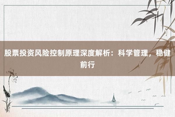 股票投资风险控制原理深度解析：科学管理，稳健前行