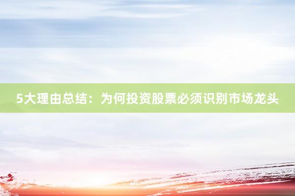 5大理由总结：为何投资股票必须识别市场龙头