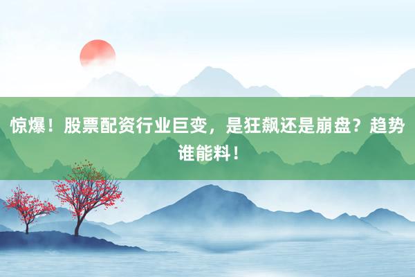 惊爆！股票配资行业巨变，是狂飙还是崩盘？趋势谁能料！