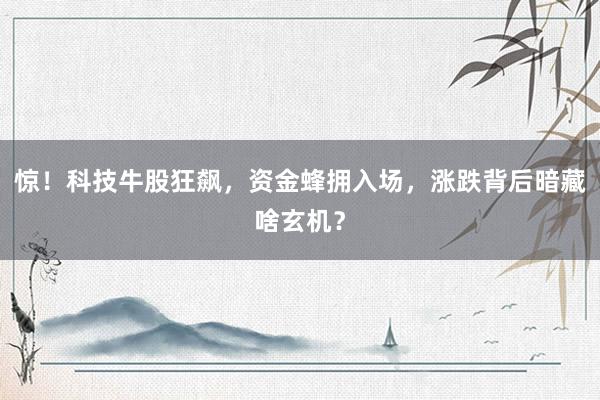惊！科技牛股狂飙，资金蜂拥入场，涨跌背后暗藏啥玄机？
