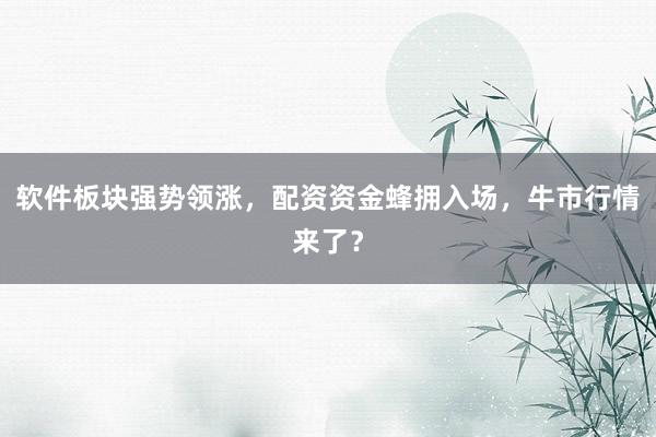 软件板块强势领涨，配资资金蜂拥入场，牛市行情来了？