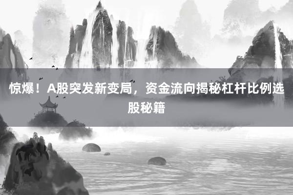 惊爆！A股突发新变局，资金流向揭秘杠杆比例选股秘籍